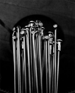 Küllő Alpina rozsdamentes ezüst Ø2mm 290 mm (100db/cs) 70200290_AKL